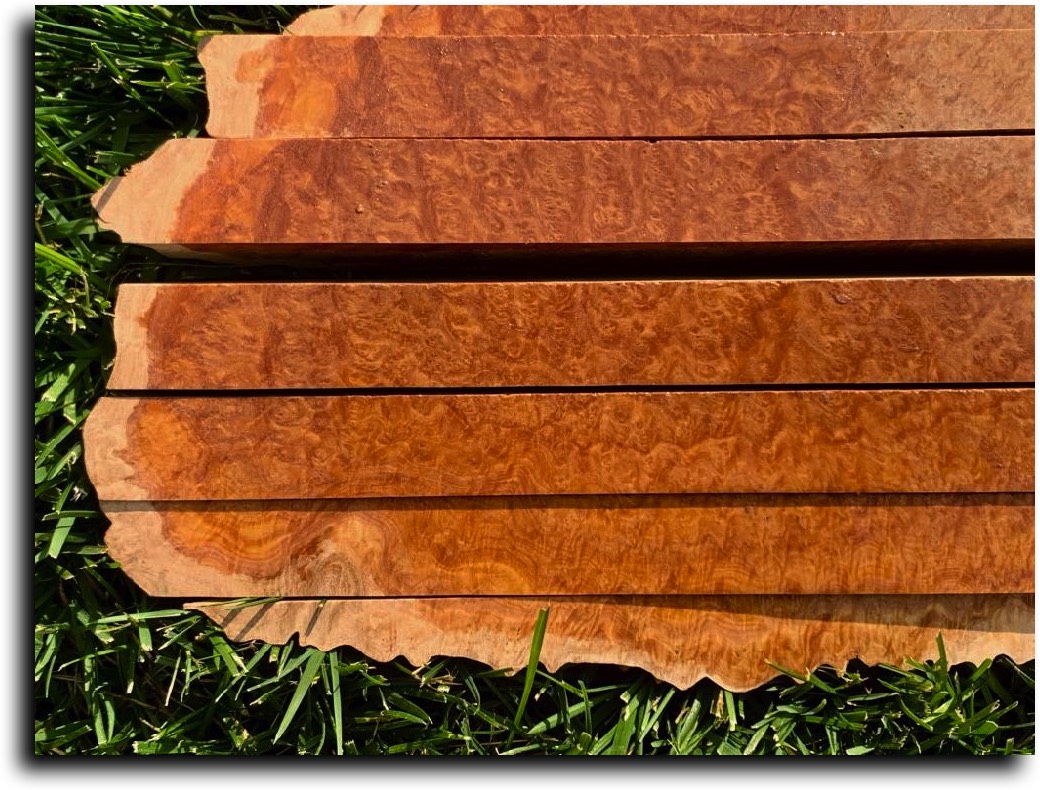 Stacks Image 6508