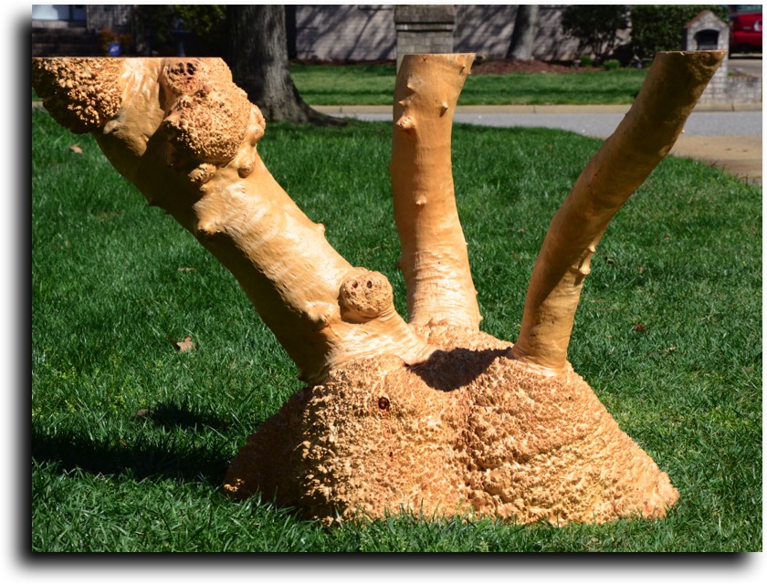 AustralianBurls.com - Burled Table Bases © 2018 Jim Syvertsen