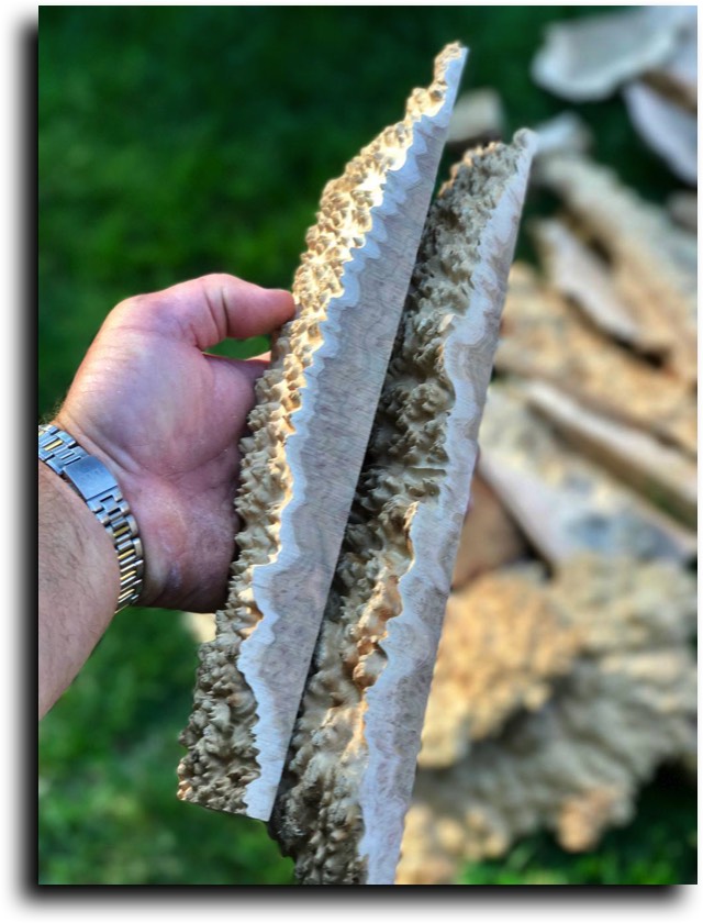 AustralianBurls.com Products - Burl Cutoffs © 2018 Jim Syvertsen