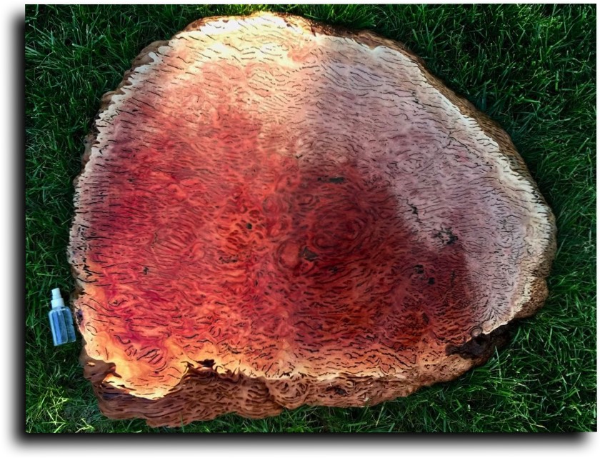 AustralianBurls.com Products - Burl Slabs © 2018 Jim Syvertsen