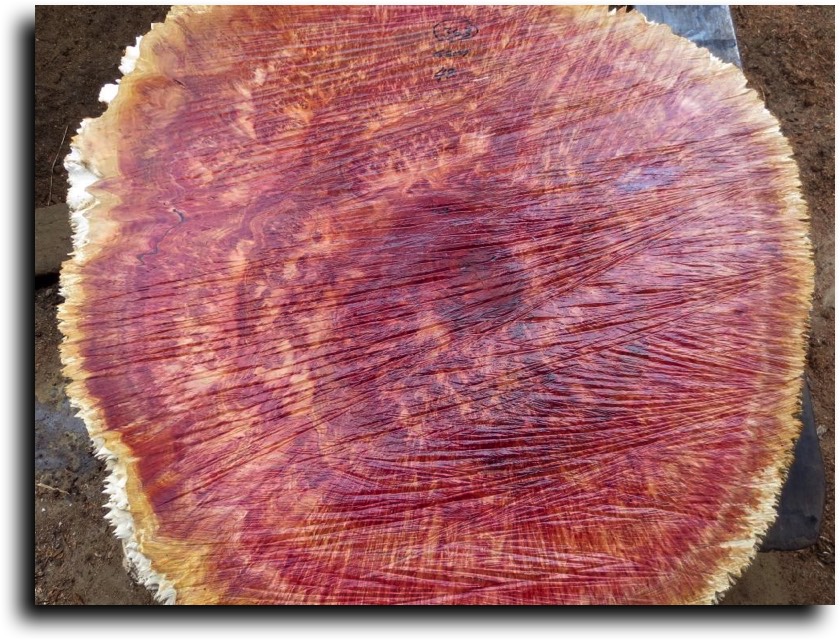 AustralianBurls.com Products - Coming Soon © 2018 Jim Syvertsen