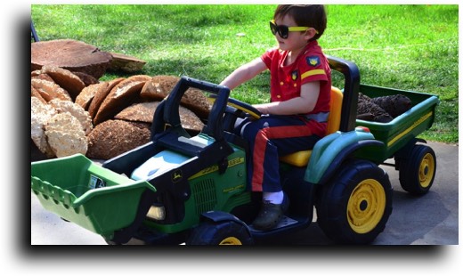 AustralianBurls.com - Products and Services